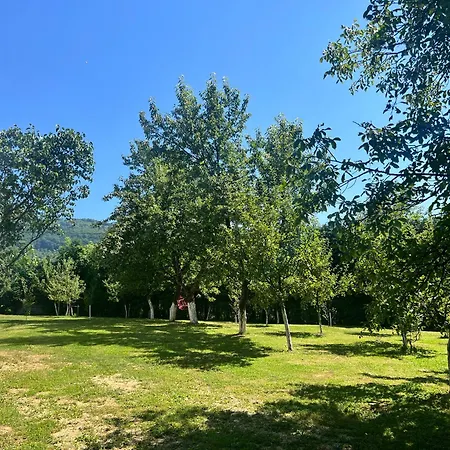 Hillside וילה